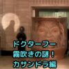 ドクターフー 霧吹きの秘密！カサンドラはなぜ潤いを求める？アイキャッチ
