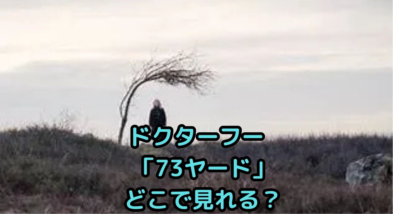 ドクターフー「73ヤードどこで見れる」？配信の扉開く！